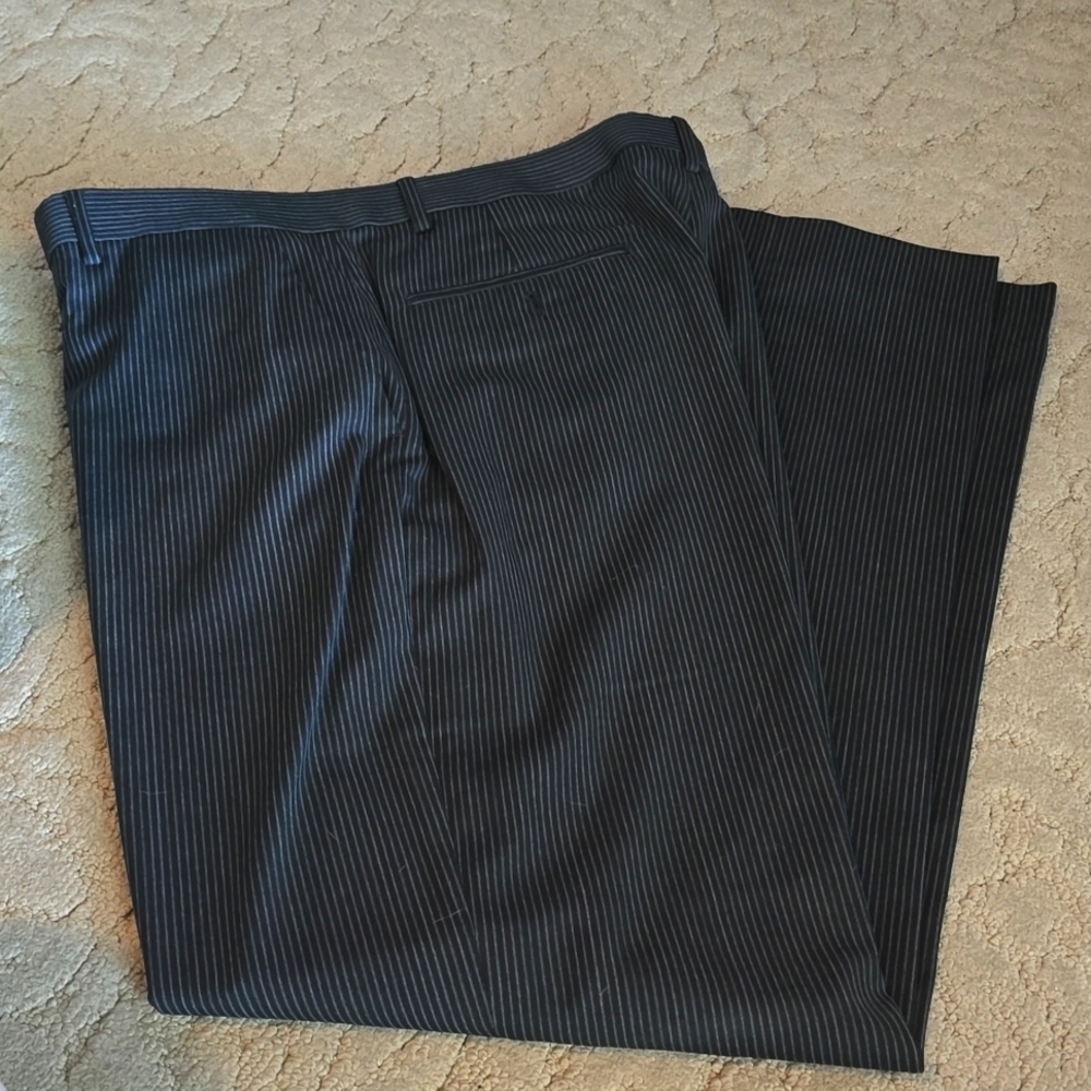 Murano striped dress pants. Flat front